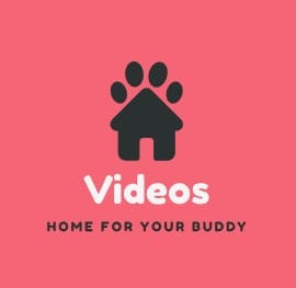 Video Goyangan